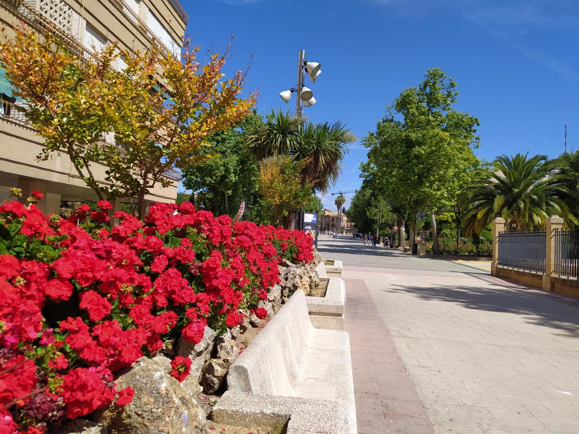 Alojamiento Los Alamos Alcalá la Real Exterior foto